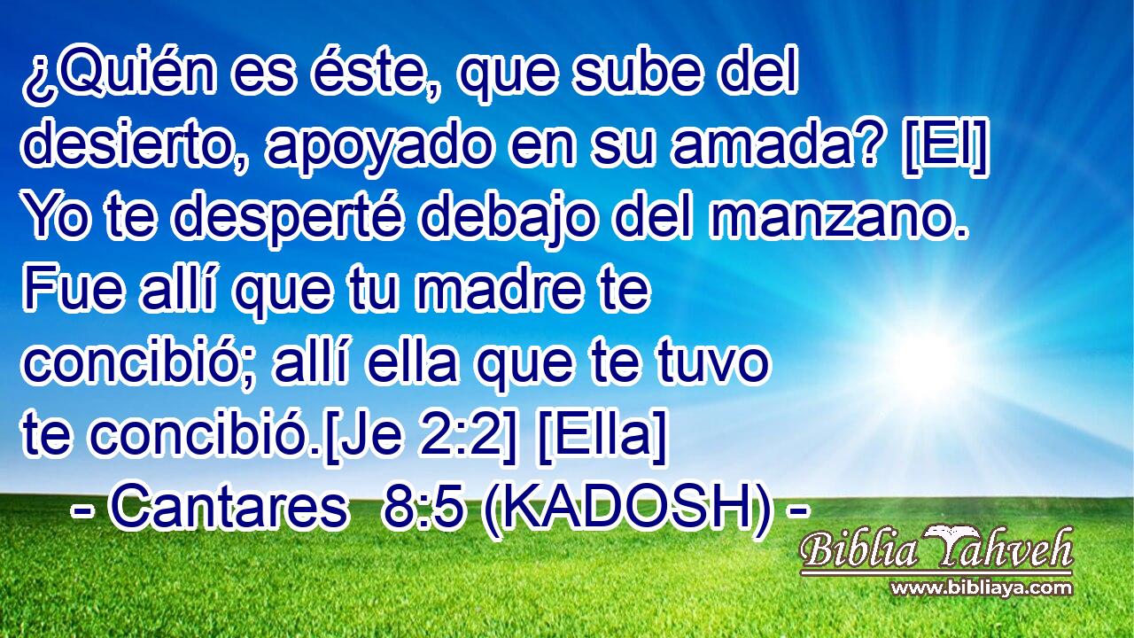  ¿Quién es éste, que sube del desierto, apoyado en su amada? [El] Yo te desperté debajo del manzano. Fue allí que tu madre te concibió; allí ella que te tuvo te concibió.[Je 2:2] [Ella] 