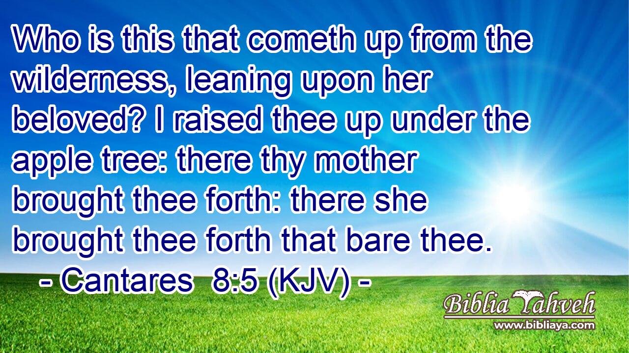 Who is this that cometh up from the wilderness, leaning upon her beloved? I raised thee up under the apple tree: there thy mother brought thee forth: there she brought thee forth that bare thee.