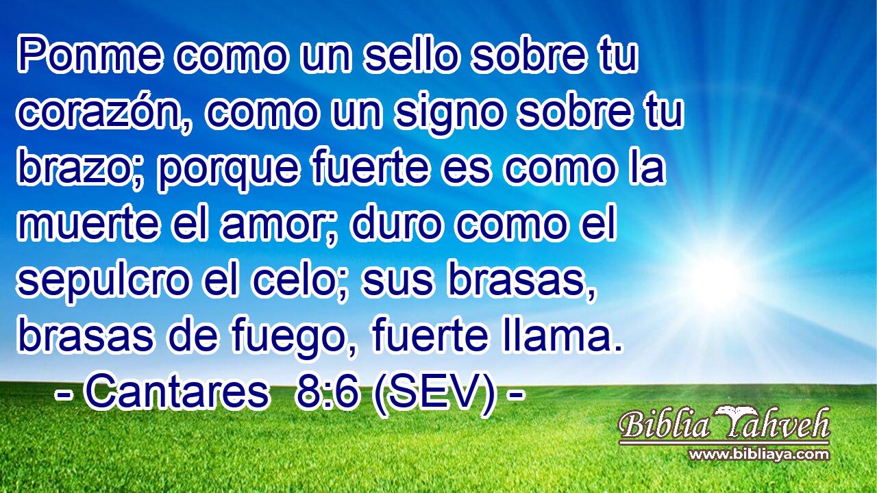 Ponme como un sello sobre tu corazón, como un signo sobre tu brazo; porque fuerte es como la muerte el amor; duro como el sepulcro el celo; sus brasas, brasas de fuego, fuerte llama.