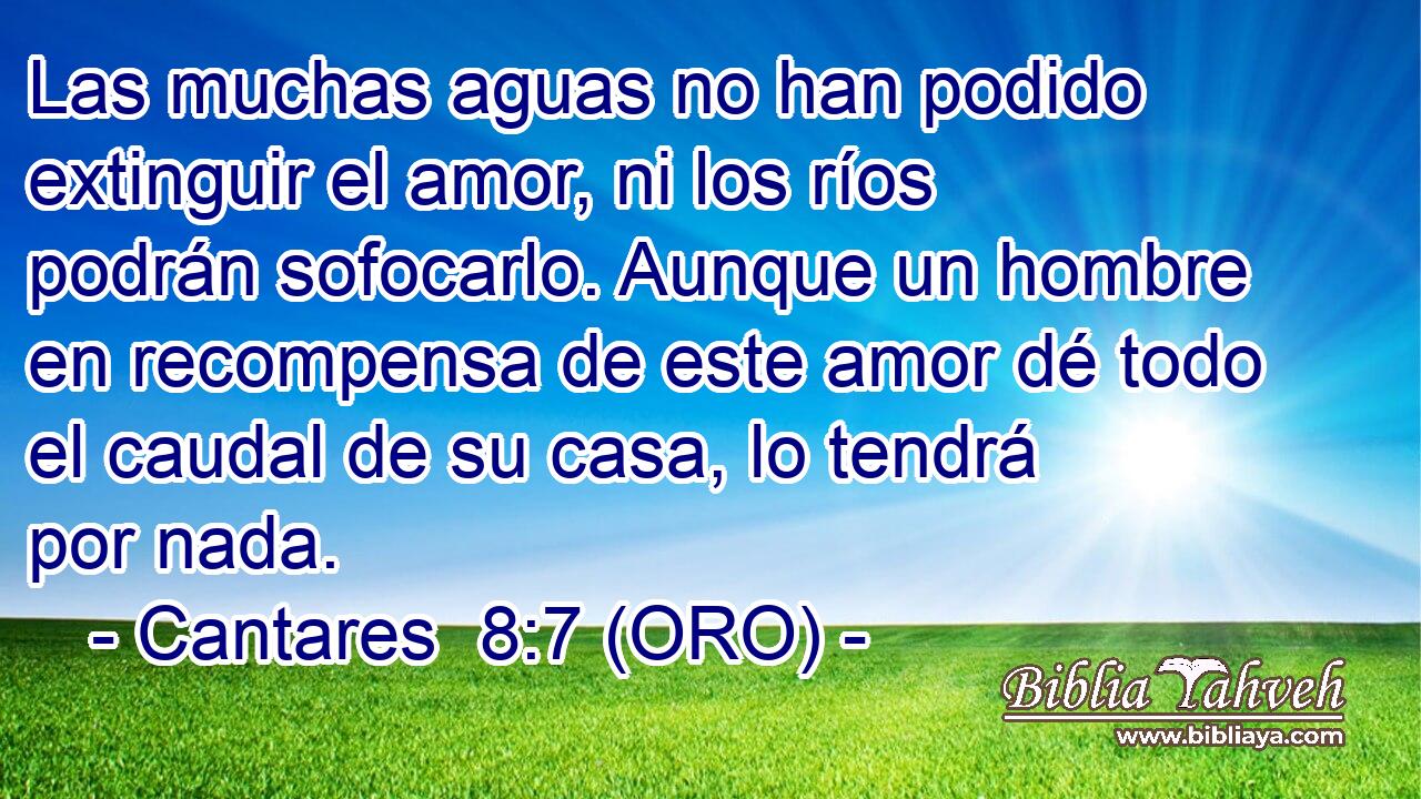  Las muchas aguas no han podido extinguir el amor, ni los ríos podrán sofocarlo. Aunque un hombre en recompensa de este amor dé todo el caudal de su casa, lo tendrá por nada. 