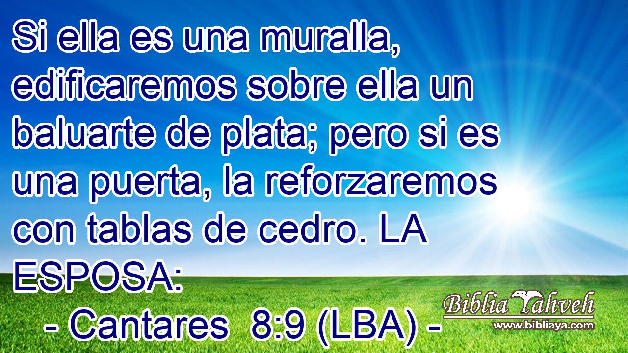 Si ella es una muralla, edificaremos sobre ella un baluarte de plata; pero si es una puerta, la reforzaremos con tablas de cedro. LA ESPOSA: