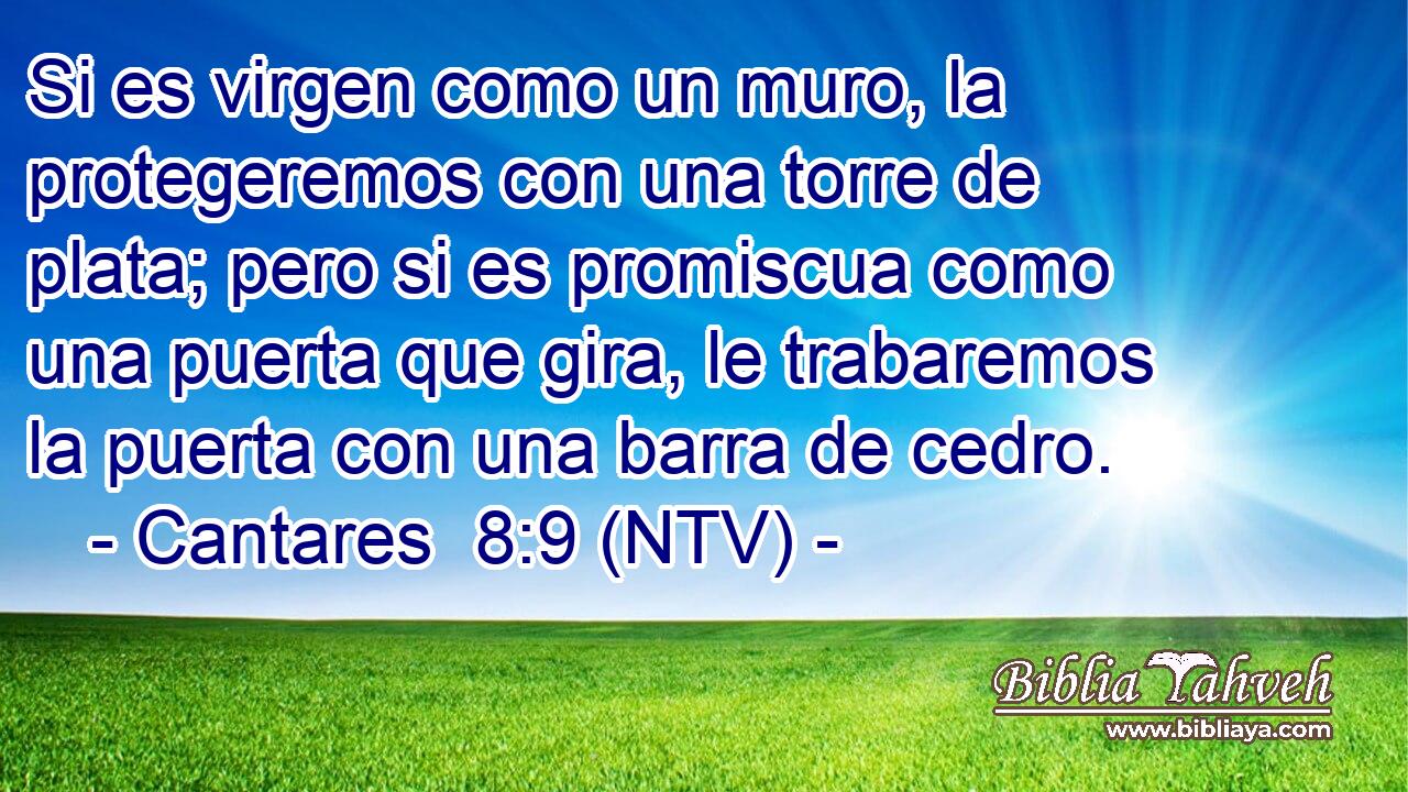 Si es virgen como un muro, la protegeremos con una torre de plata; pero si es promiscua como una puerta que gira, le trabaremos la puerta con una barra de cedro.
