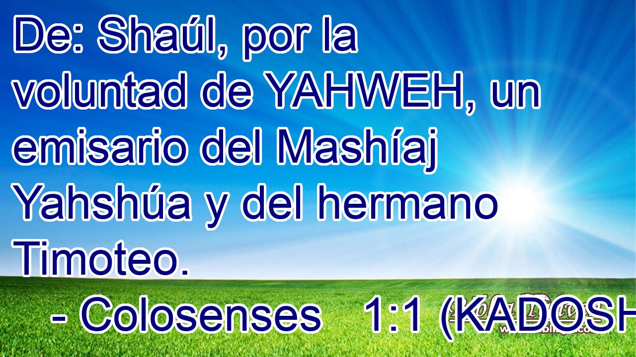  De: Shaúl, por la voluntad de YAHWEH, un emisario del Mashíaj Yahshúa y del hermano Timoteo. 
