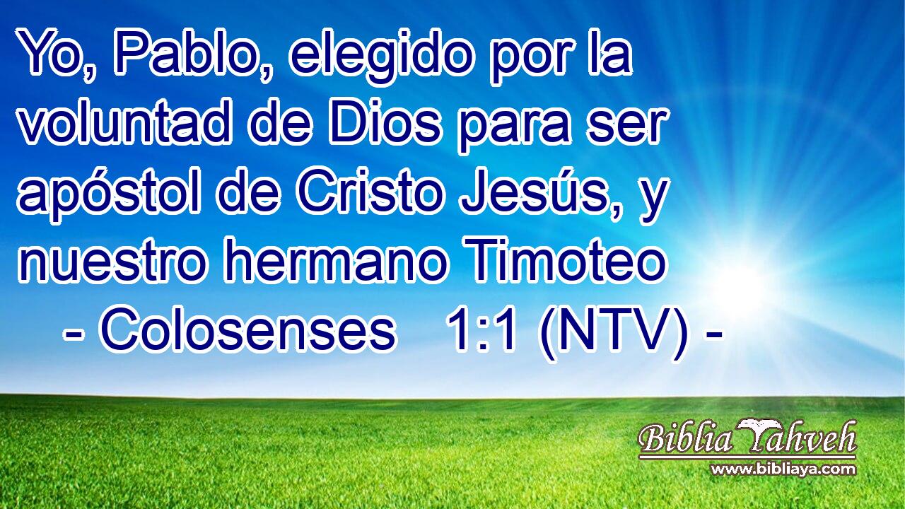 Yo, Pablo, elegido por la voluntad de Dios para ser apóstol de Cristo Jesús, y nuestro hermano Timoteo