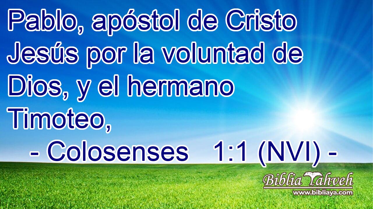 Pablo, apóstol de Cristo Jesús por la voluntad de Dios, y el hermano Timoteo, 