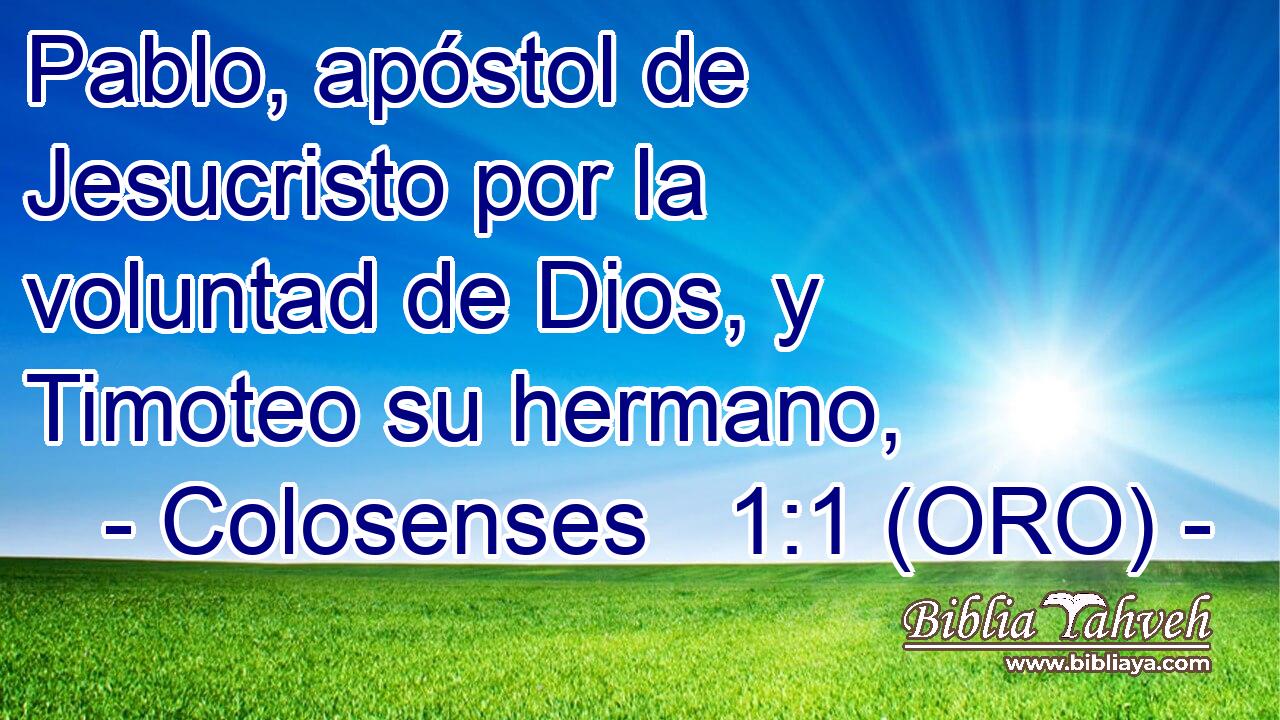  Pablo, apóstol de Jesucristo por la voluntad de Dios, y Timoteo su hermano, 