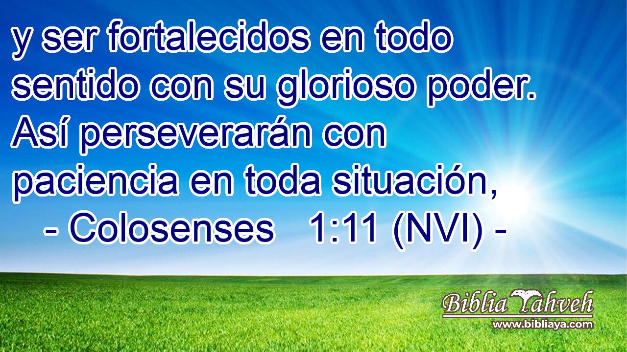  y ser fortalecidos en todo sentido con su glorioso poder. Así perseverarán con paciencia en toda situación, 