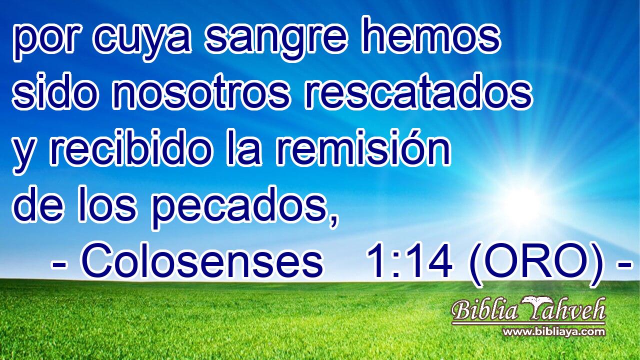  por cuya sangre hemos sido nosotros rescatados y recibido la remisión de los pecados, 