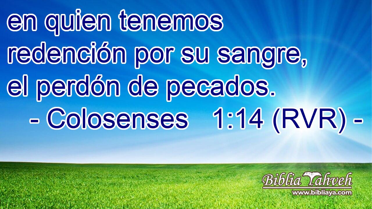 en quien tenemos redención por su sangre, el perdón de pecados.