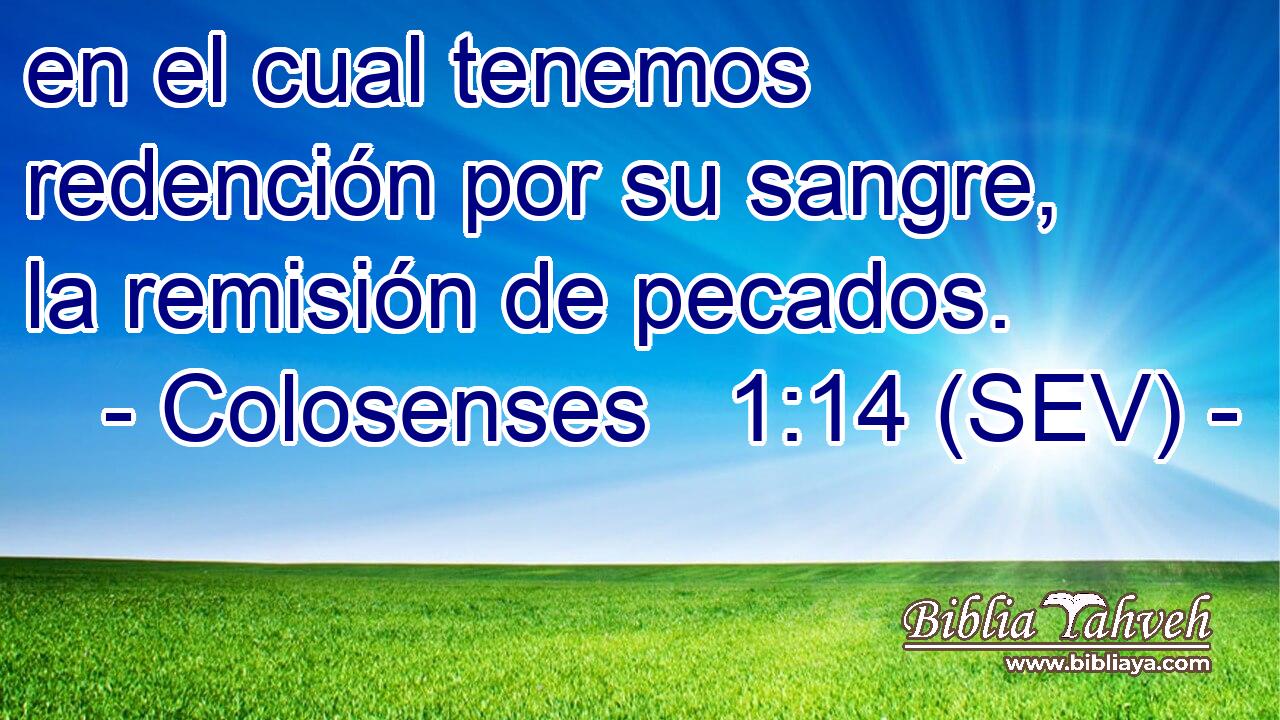 en el cual tenemos redención por su sangre, la remisión de pecados.