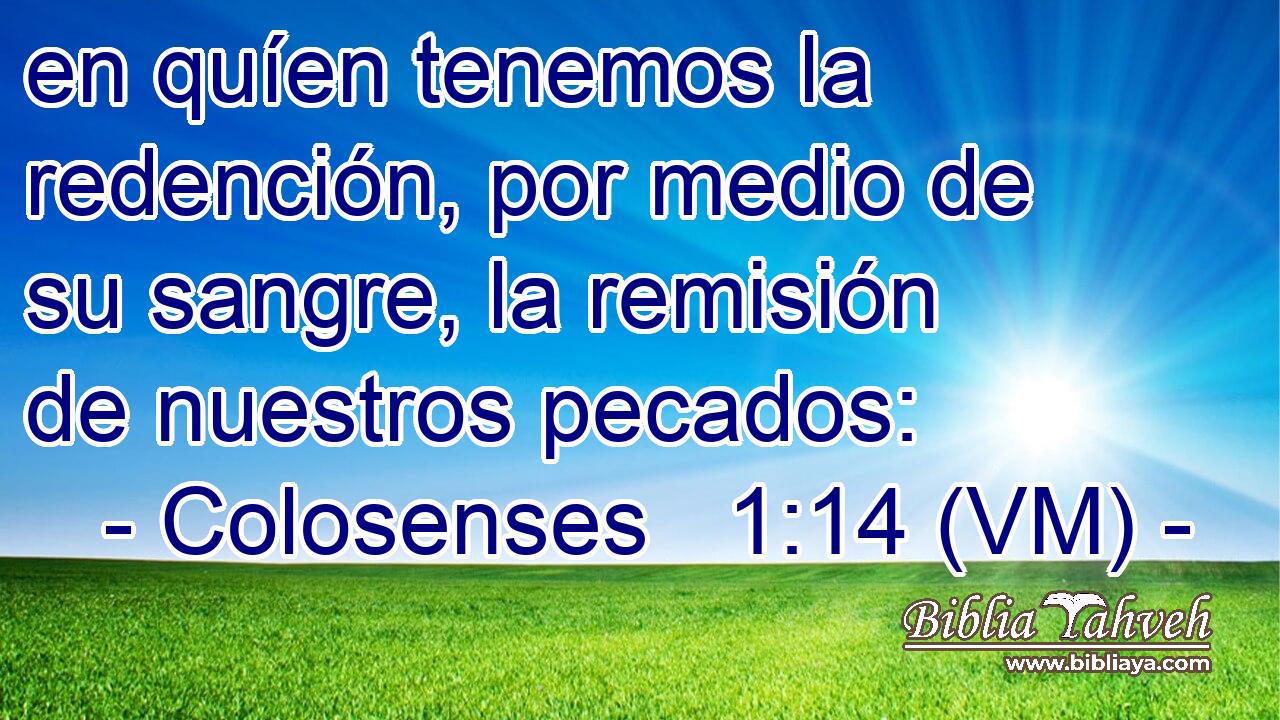  en quíen tenemos la redención, por medio de su sangre, la remisión de nuestros pecados: 