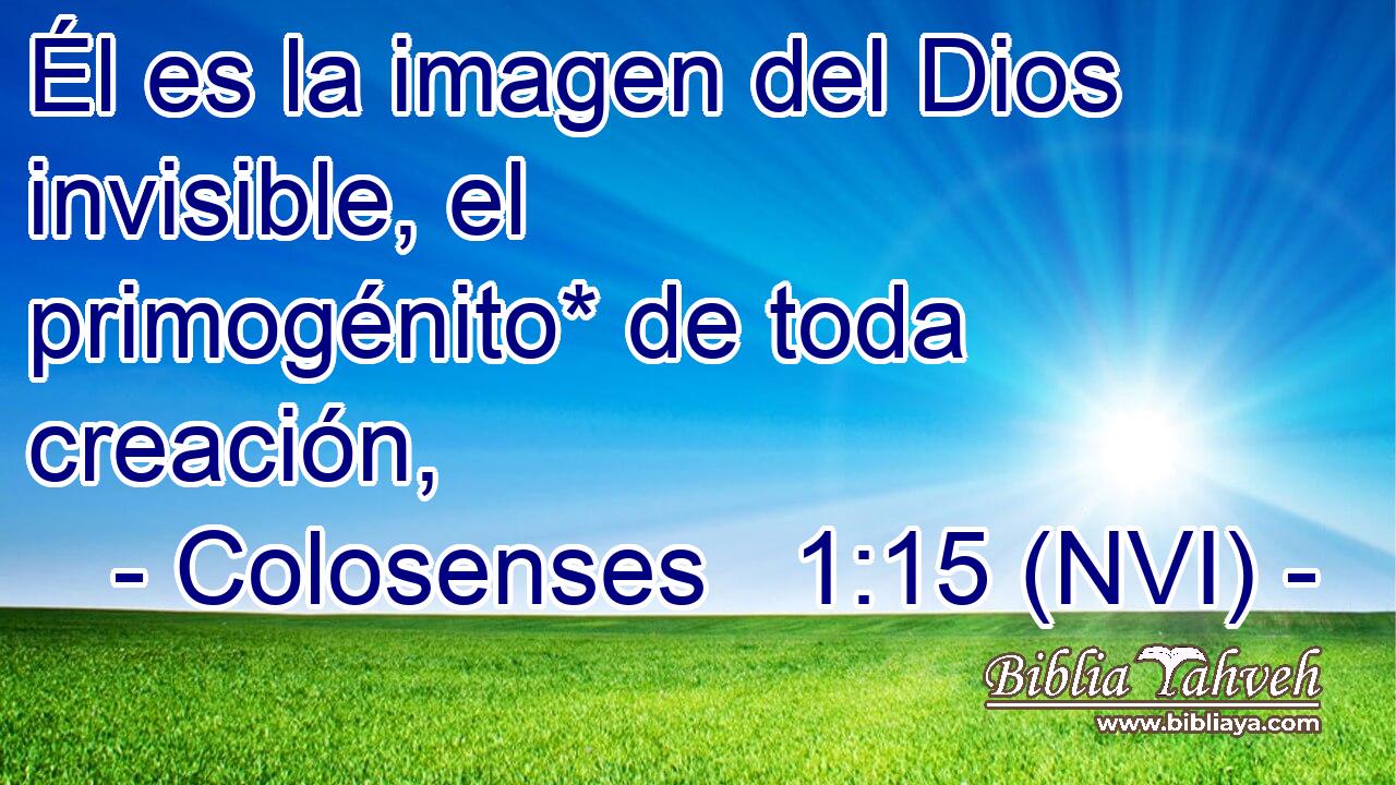  Él es la imagen del Dios invisible, el primogénito* de toda creación, 