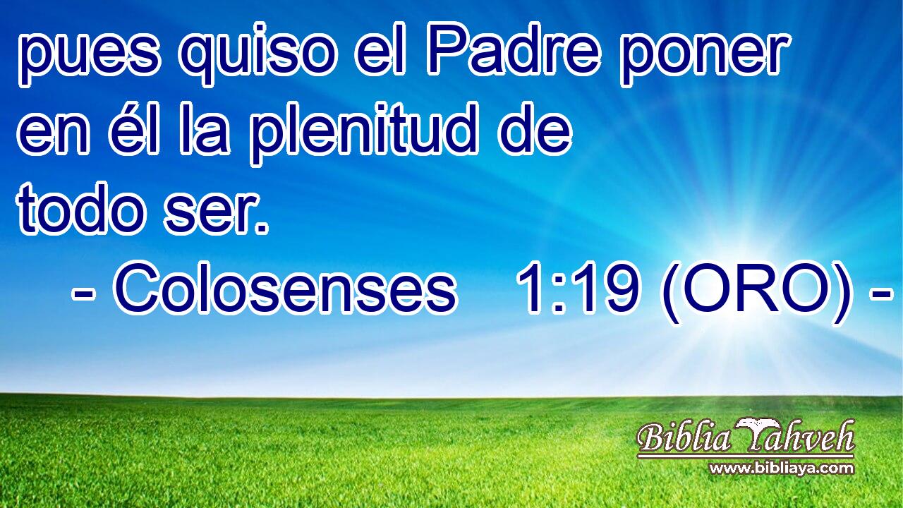  pues quiso el Padre poner en él la plenitud de todo ser. 