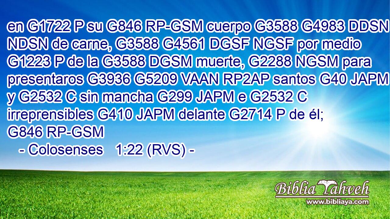 en G1722 P su G846 RP-GSM cuerpo G3588 G4983 DDSN NDSN de carne, G3588 G4561 DGSF NGSF por medio G1223 P de la G3588 DGSM muerte, G2288 NGSM para presentaros G3936 G5209 VAAN RP2AP santos G40 JAPM y G2532 C sin mancha G299 JAPM e G2532 C irreprensibles G410 JAPM delante G2714 P de él; G846 RP-GSM 