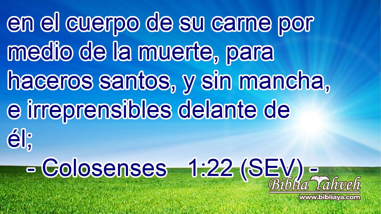 en el cuerpo de su carne por medio de la muerte, para haceros santos, y sin mancha, e irreprensibles delante de él;