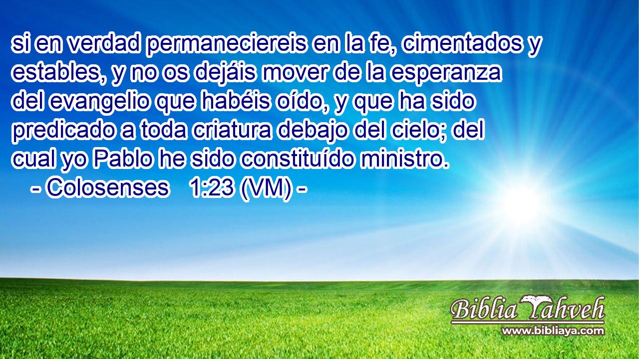  si en verdad permaneciereis en la fe, cimentados y estables, y no os dejáis mover de la esperanza del evangelio que habéis oído, y que ha sido predicado a toda criatura debajo del cielo; del cual yo Pablo he sido constituído ministro. 