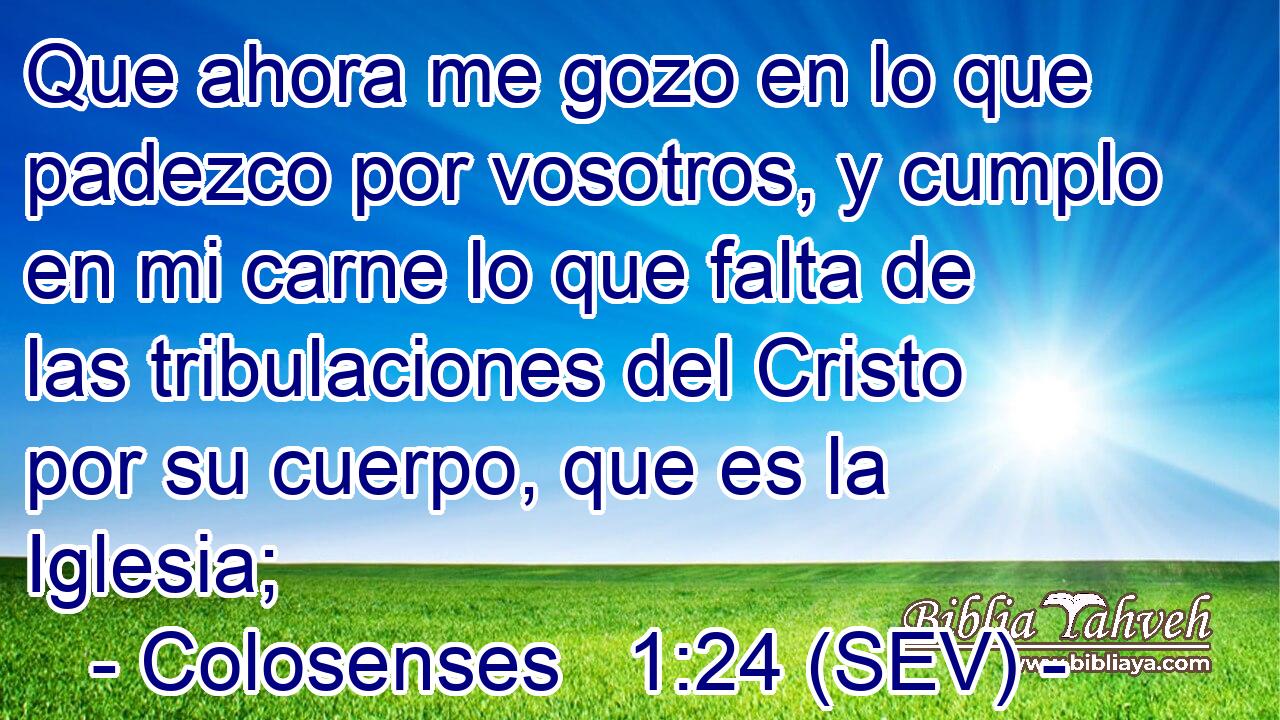 Que ahora me gozo en lo que padezco por vosotros, y cumplo en mi carne lo que falta de las tribulaciones del Cristo por su cuerpo, que es la Iglesia;