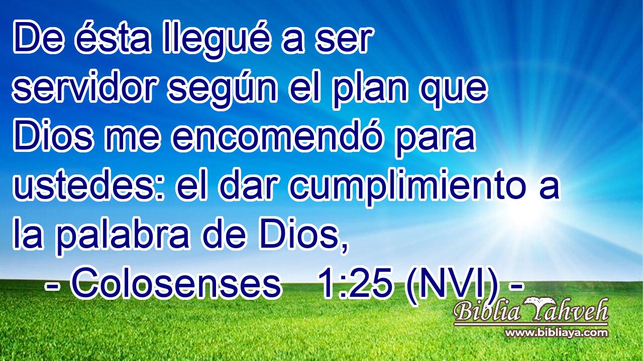  De ésta llegué a ser servidor según el plan que Dios me encomendó para ustedes: el dar cumplimiento a la palabra de Dios, 