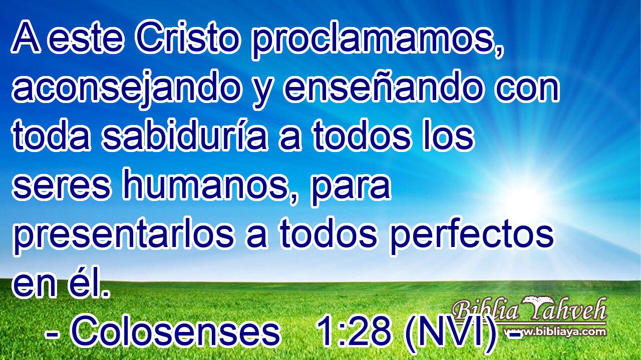  A este Cristo proclamamos, aconsejando y enseñando con toda sabiduría a todos los seres humanos, para presentarlos a todos perfectos en él. 
