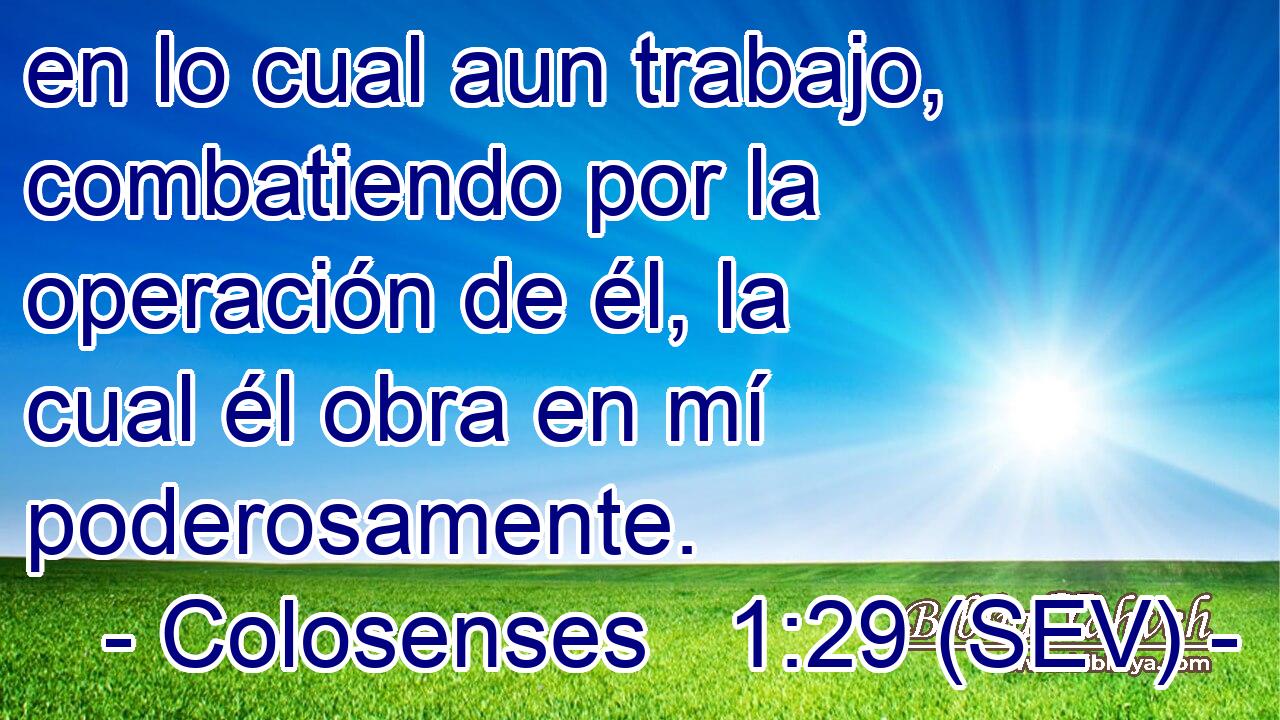 en lo cual aun trabajo, combatiendo por la operación de él, la cual él obra en mí poderosamente.