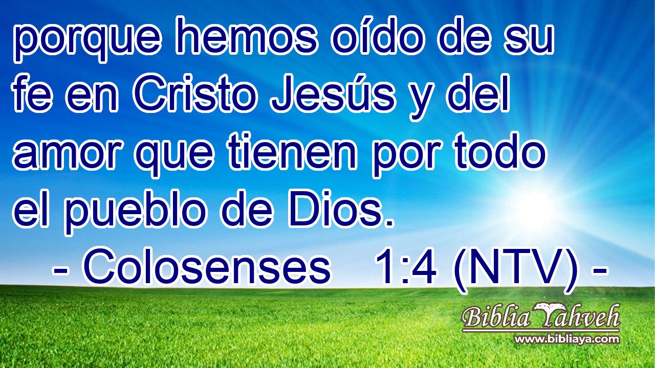 porque hemos oído de su fe en Cristo Jesús y del amor que tienen por todo el pueblo de Dios.