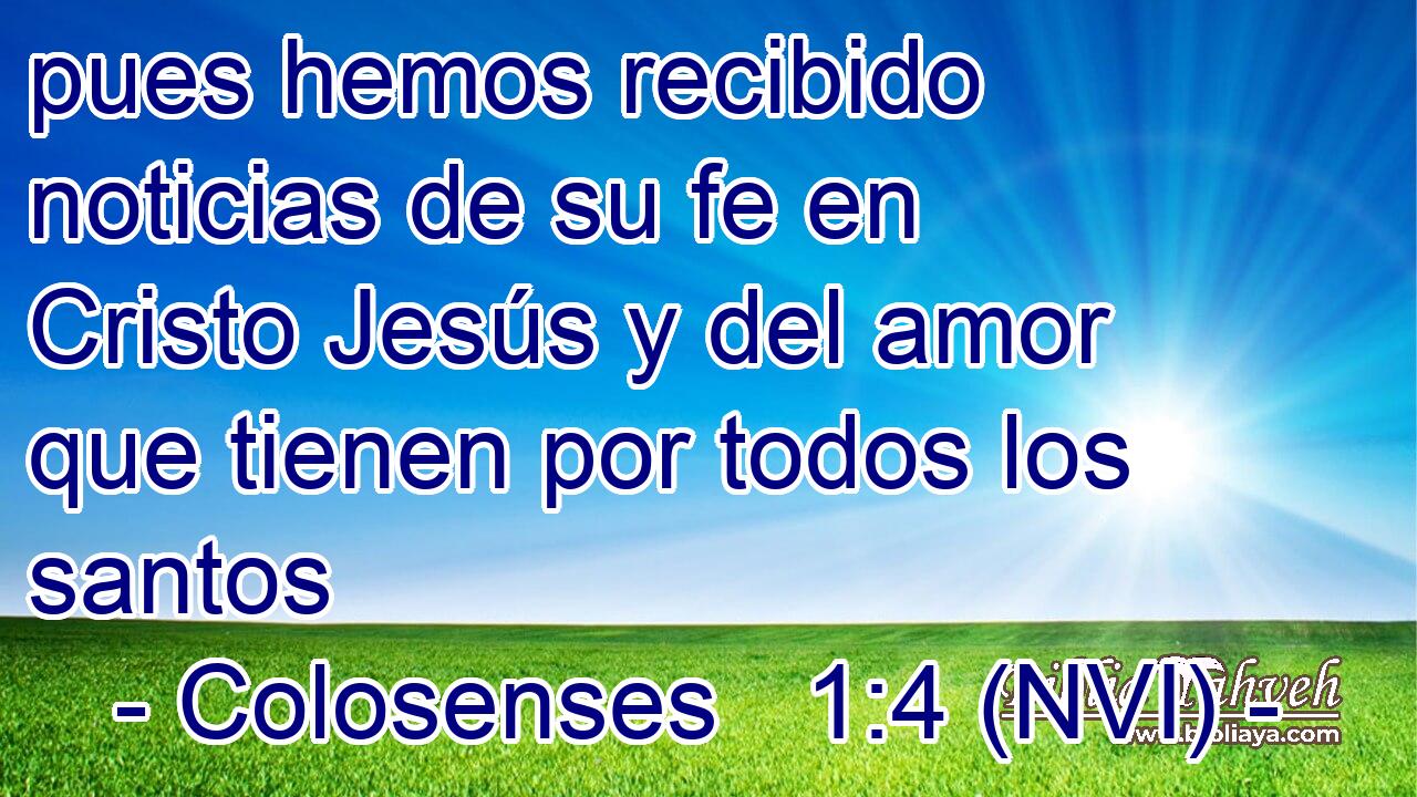  pues hemos recibido noticias de su fe en Cristo Jesús y del amor que tienen por todos los santos 