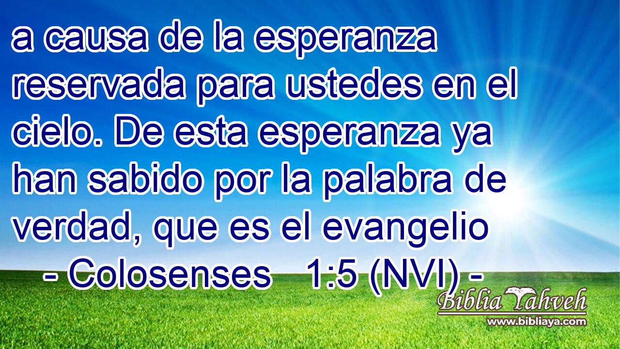  a causa de la esperanza reservada para ustedes en el cielo. De esta esperanza ya han sabido por la palabra de verdad, que es el evangelio 