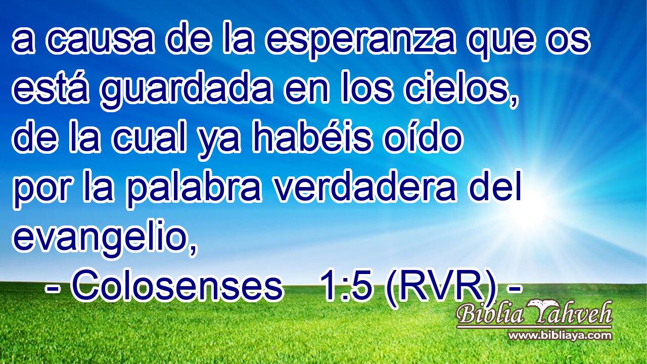 a causa de la esperanza que os está guardada en los cielos, de la cual ya habéis oído por la palabra verdadera del evangelio,