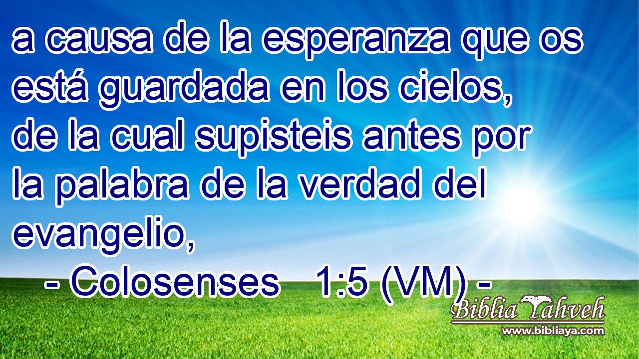  a causa de la esperanza que os está guardada en los cielos, de la cual supisteis antes por la palabra de la verdad del evangelio, 