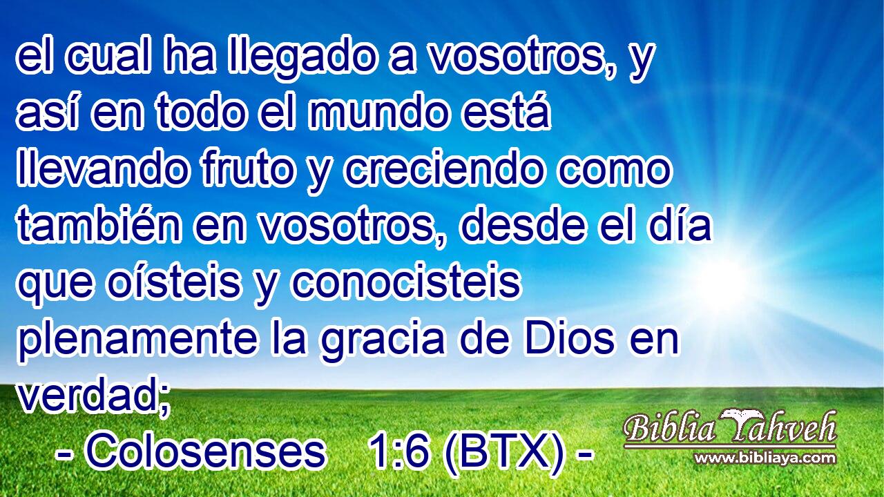 el cual ha llegado a vosotros, y así en todo el mundo está llevando fruto y creciendo como también en vosotros, desde el día que oísteis y conocisteis plenamente la gracia de Dios en verdad;