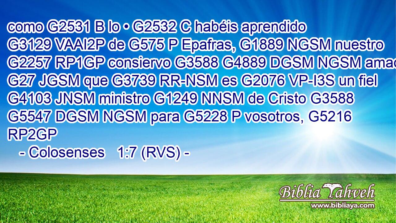 como G2531 B lo • G2532 C habéis aprendido G3129 VAAI2P de G575 P Epafras, G1889 NGSM nuestro G2257 RP1GP consiervo G3588 G4889 DGSM NGSM amado, G27 JGSM que G3739 RR-NSM es G2076 VP-I3S un fiel G4103 JNSM ministro G1249 NNSM de Cristo G3588 G5547 DGSM NGSM para G5228 P vosotros, G5216 RP2GP 