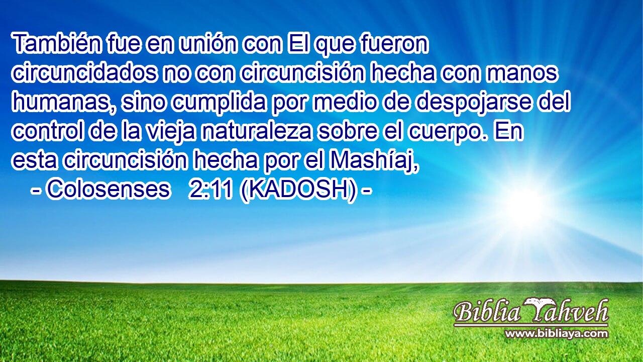  También fue en unión con El que fueron circuncidados no con circuncisión hecha con manos humanas, sino cumplida por medio de despojarse del control de la vieja naturaleza sobre el cuerpo. En esta circuncisión hecha por el Mashíaj, 