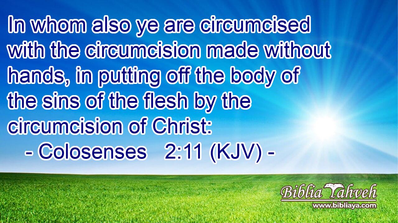 In whom also ye are circumcised with the circumcision made without hands, in putting off the body of the sins of the flesh by the circumcision of Christ: