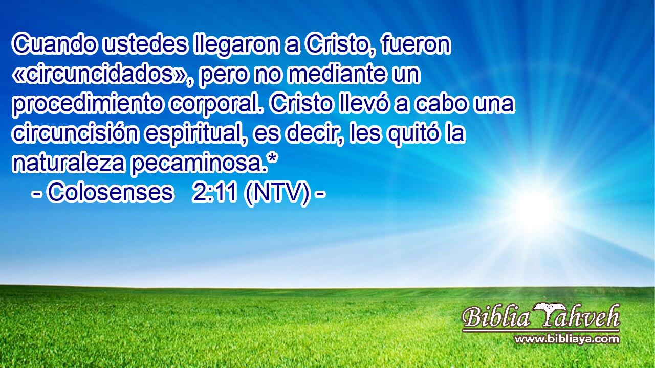 Cuando ustedes llegaron a Cristo, fueron «circuncidados», pero no mediante un procedimiento corporal. Cristo llevó a cabo una circuncisión espiritual, es decir, les quitó la naturaleza pecaminosa.*