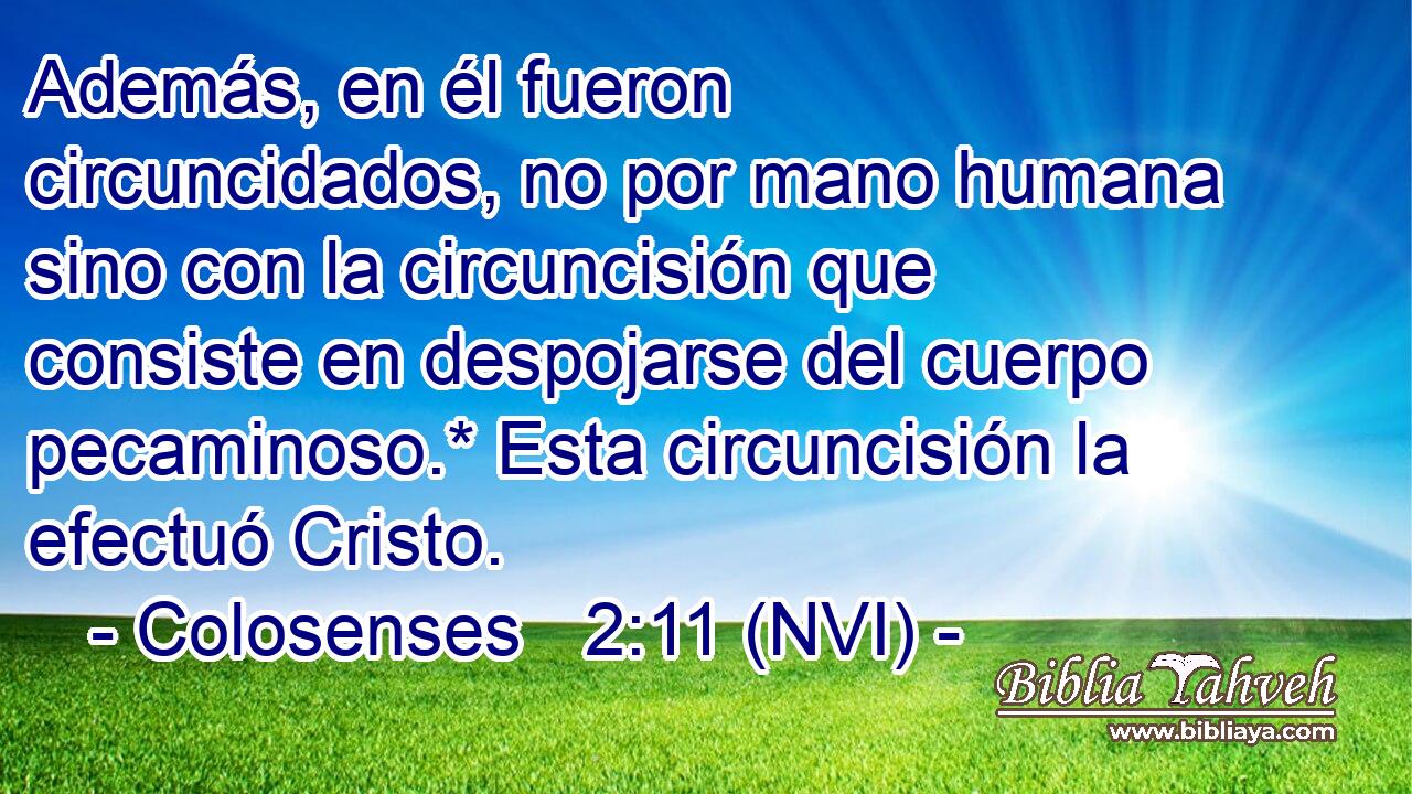  Además, en él fueron circuncidados, no por mano humana sino con la circuncisión que consiste en despojarse del cuerpo pecaminoso.* Esta circuncisión la efectuó Cristo. 