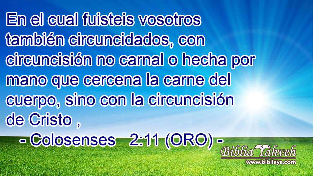  En el cual fuisteis vosotros también circuncidados, con circuncisión no carnal o hecha por mano que cercena la carne del cuerpo, sino con la circuncisión de Cristo , 