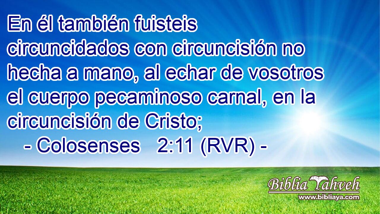 En él también fuisteis circuncidados con circuncisión no hecha a mano, al echar de vosotros el cuerpo pecaminoso carnal, en la circuncisión de Cristo;