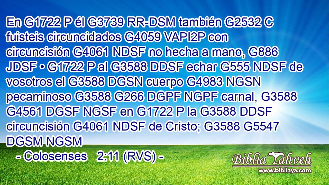 En G1722 P él G3739 RR-DSM también G2532 C fuisteis circuncidados G4059 VAPI2P con circuncisión G4061 NDSF no hecha a mano, G886 JDSF • G1722 P al G3588 DDSF echar G555 NDSF de vosotros el G3588 DGSN cuerpo G4983 NGSN pecaminoso G3588 G266 DGPF NGPF carnal, G3588 G4561 DGSF NGSF en G1722 P la G3588 DDSF circuncisión G4061 NDSF de Cristo; G3588 G5547 DGSM NGSM 