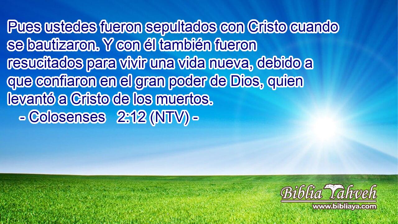 Pues ustedes fueron sepultados con Cristo cuando se bautizaron. Y con él también fueron resucitados para vivir una vida nueva, debido a que confiaron en el gran poder de Dios, quien levantó a Cristo de los muertos.