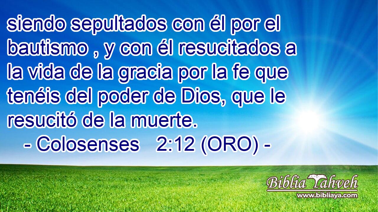  siendo sepultados con él por el bautismo , y con él resucitados a la vida de la gracia por la fe que tenéis del poder de Dios, que le resucitó de la muerte. 