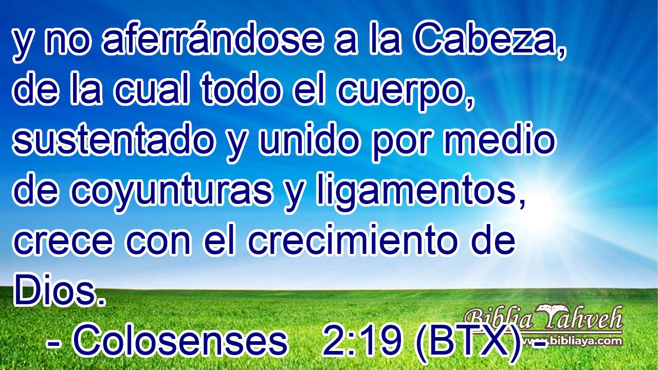 y no aferrándose a la Cabeza, de la cual todo el cuerpo, sustentado y unido por medio de coyunturas y ligamentos, crece con el crecimiento de Dios.