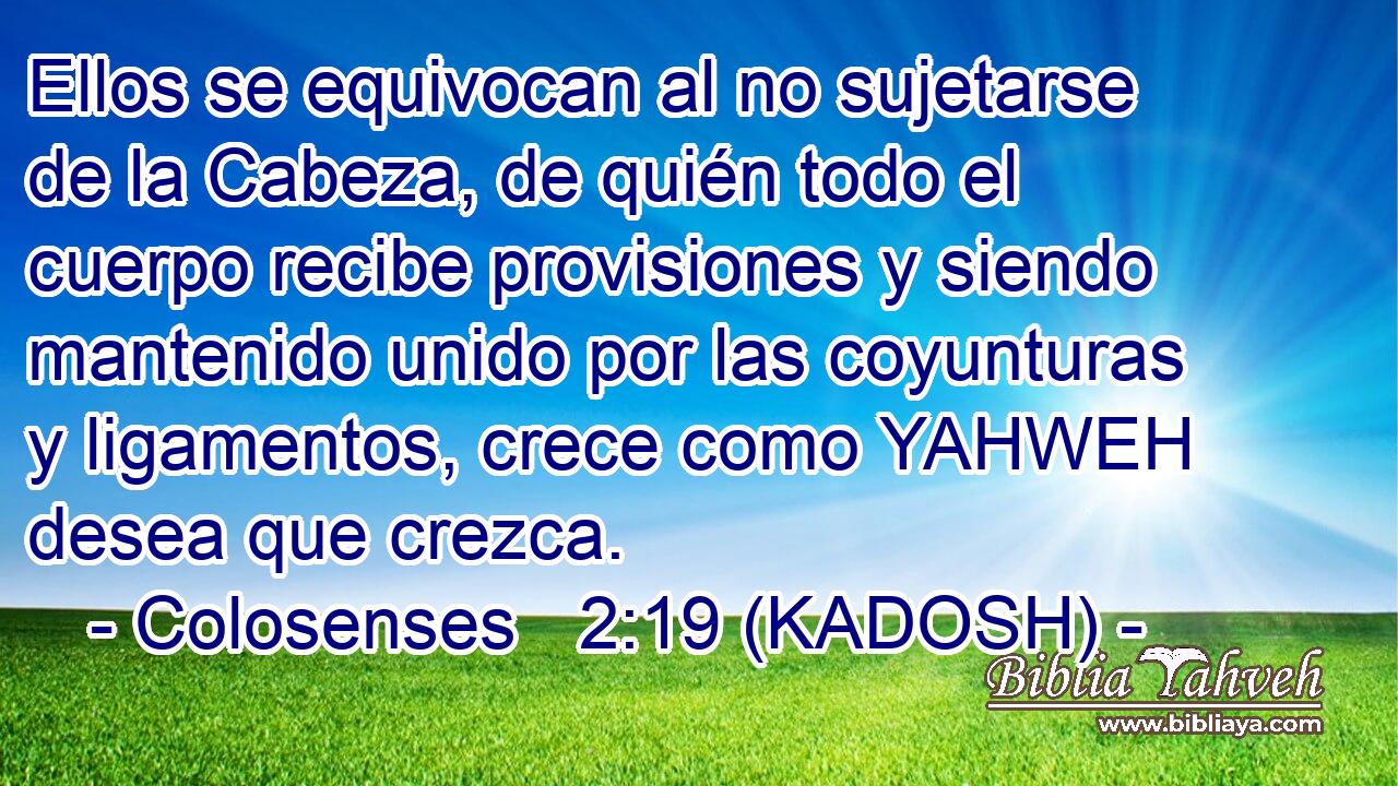  Ellos se equivocan al no sujetarse de la Cabeza, de quién todo el cuerpo recibe provisiones y siendo mantenido unido por las coyunturas y ligamentos, crece como YAHWEH desea que crezca. 