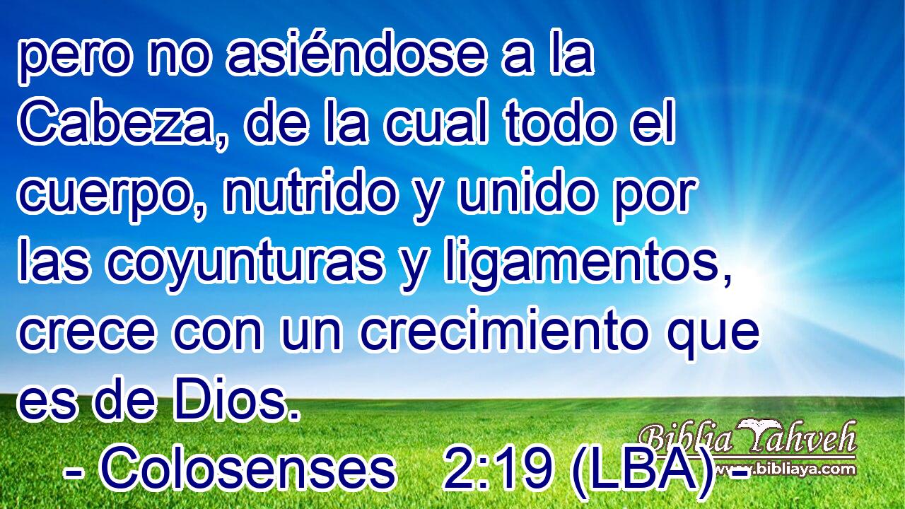 pero no asiéndose a la Cabeza, de la cual todo el cuerpo, nutrido y unido por las coyunturas y ligamentos, crece con un crecimiento que es de Dios.
