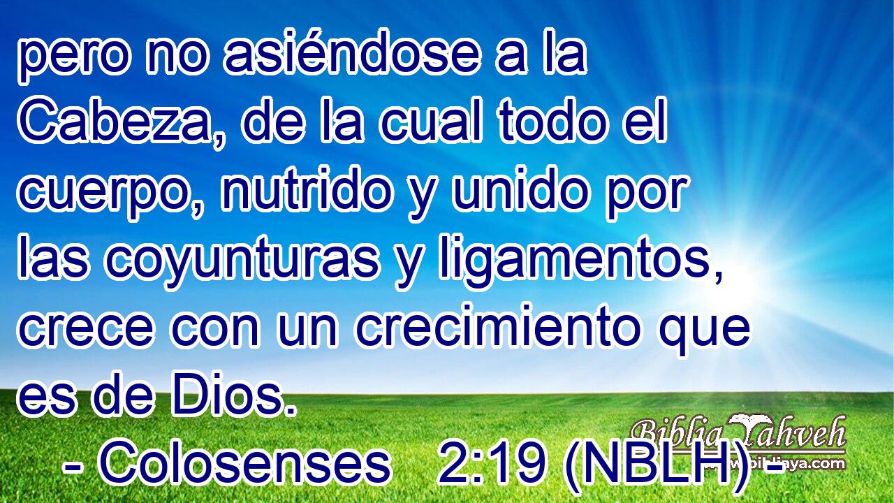  pero no asiéndose a la Cabeza, de la cual todo el cuerpo, nutrido y unido por las coyunturas y ligamentos, crece con un crecimiento que es de Dios. 