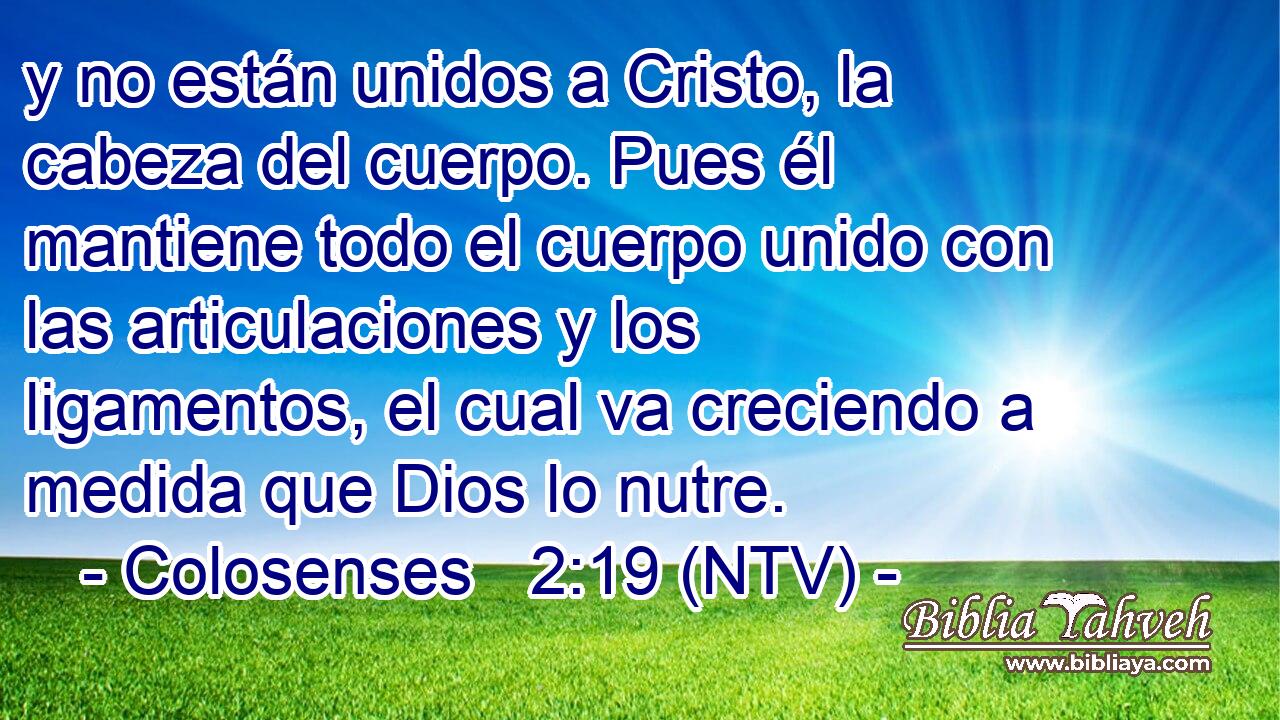 y no están unidos a Cristo, la cabeza del cuerpo. Pues él mantiene todo el cuerpo unido con las articulaciones y los ligamentos, el cual va creciendo a medida que Dios lo nutre.