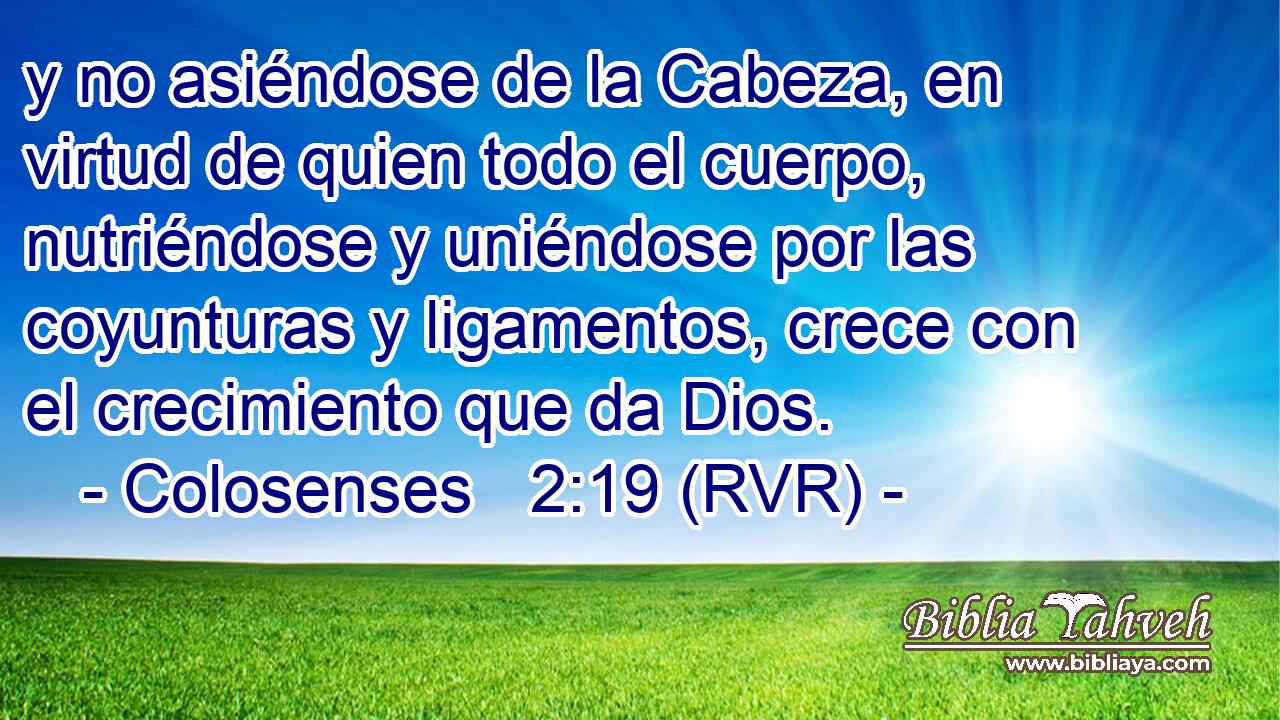 y no asiéndose de la Cabeza, en virtud de quien todo el cuerpo, nutriéndose y uniéndose por las coyunturas y ligamentos, crece con el crecimiento que da Dios.
