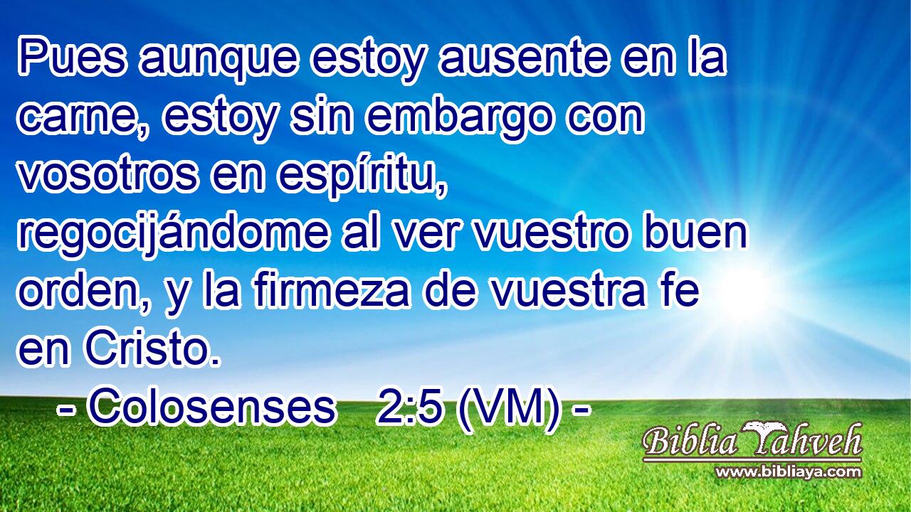  Pues aunque estoy ausente en la carne, estoy sin embargo con vosotros en espíritu, regocijándome al ver vuestro buen orden, y la firmeza de vuestra fe en Cristo. 