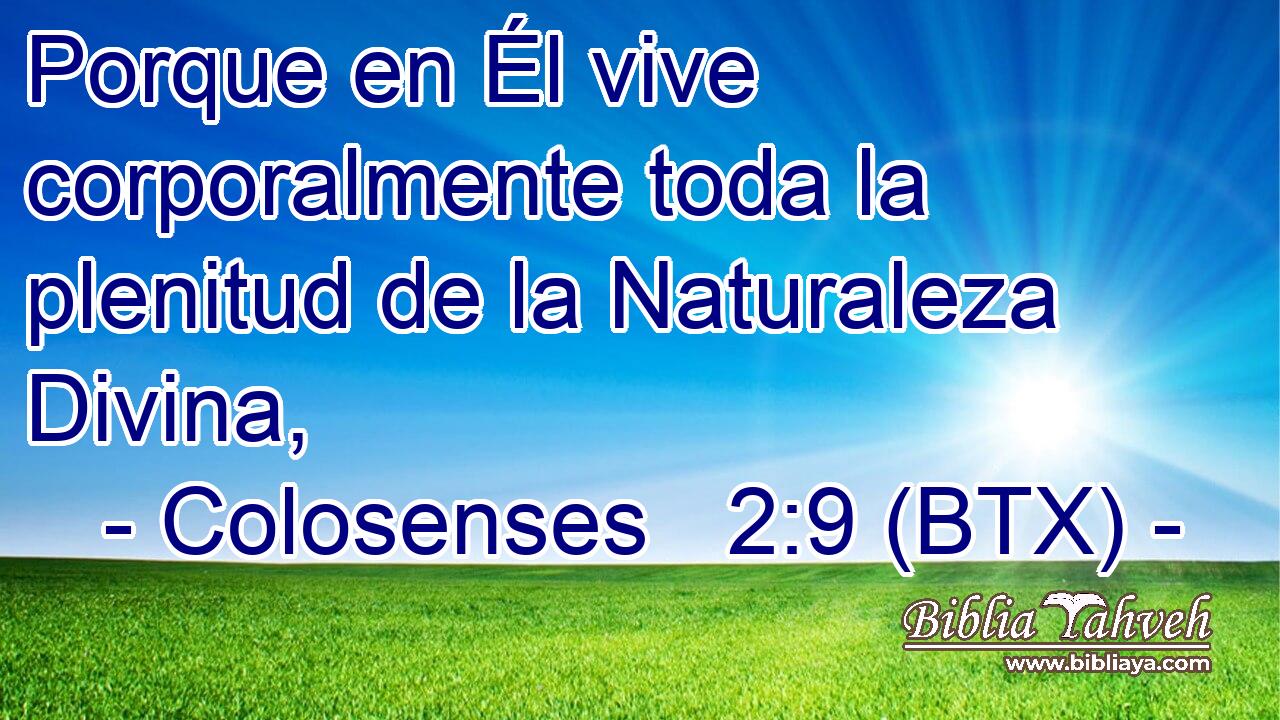 Porque en Él vive corporalmente toda la plenitud de la Naturaleza Divina,