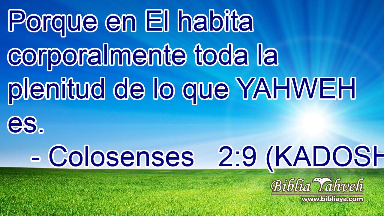  Porque en El habita corporalmente toda la plenitud de lo que YAHWEH es. 