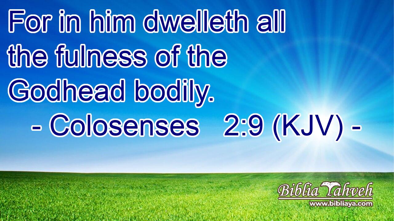 For in him dwelleth all the fulness of the Godhead bodily.